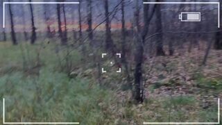 Isä Mostoha rakastaa seksileluja