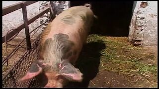Blond MILFin villi seikkailu ladossa ja ulkona Egon Kowalskin kanssa